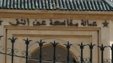 الدائرة الانتخابية المحلية عين الشق: المحكمة الدستورية تبطل انتخاب عبد الحق الشقيق و اسماعيل بنبى